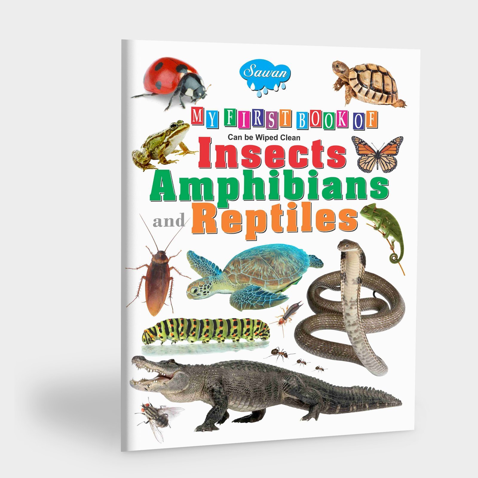 My First Book of Amphibians and Reptiles | My First Book (Can be Wiped Clean)