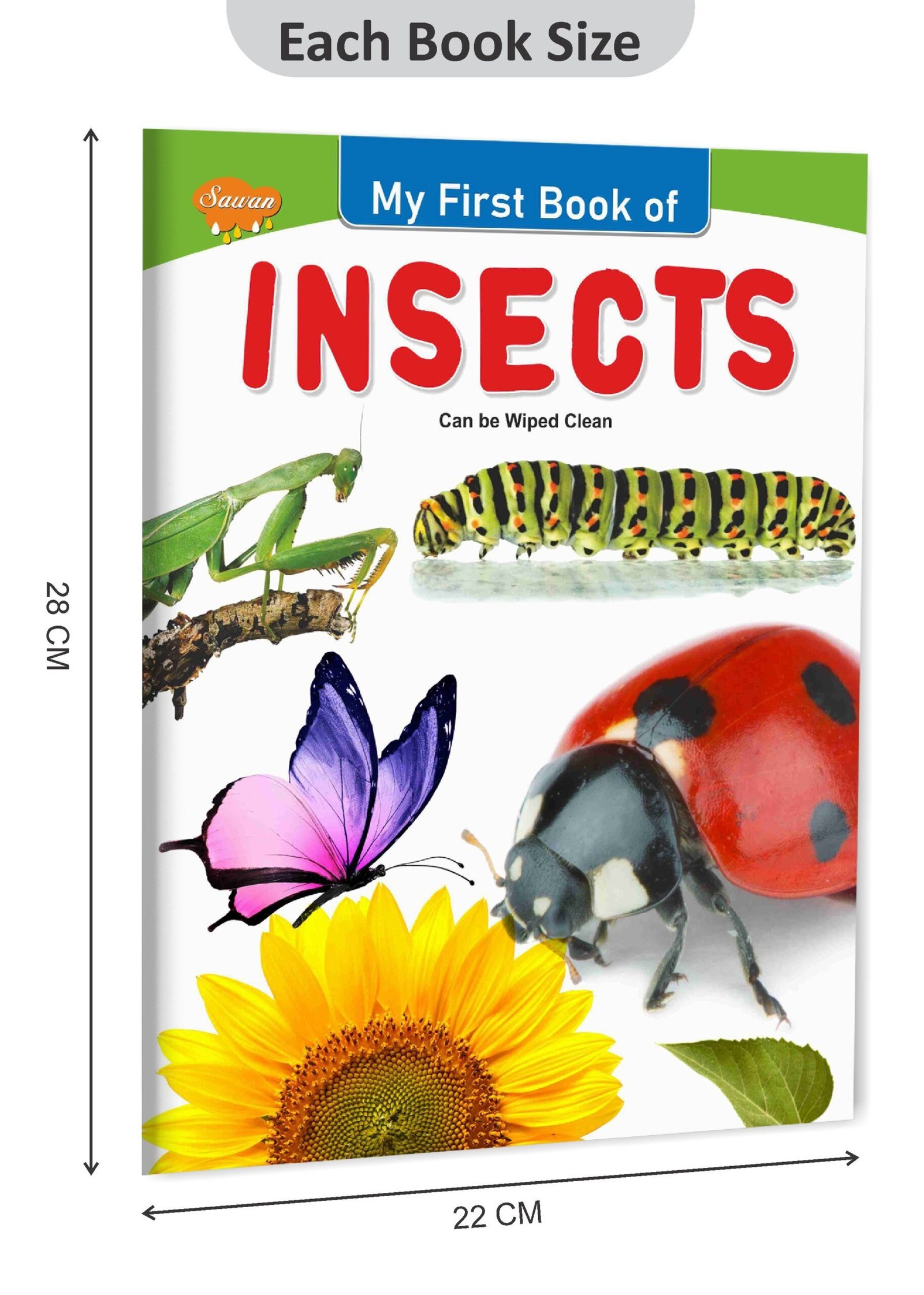 My First Book of Insects | My First Book (Can be Wiped Clean) - Image 2