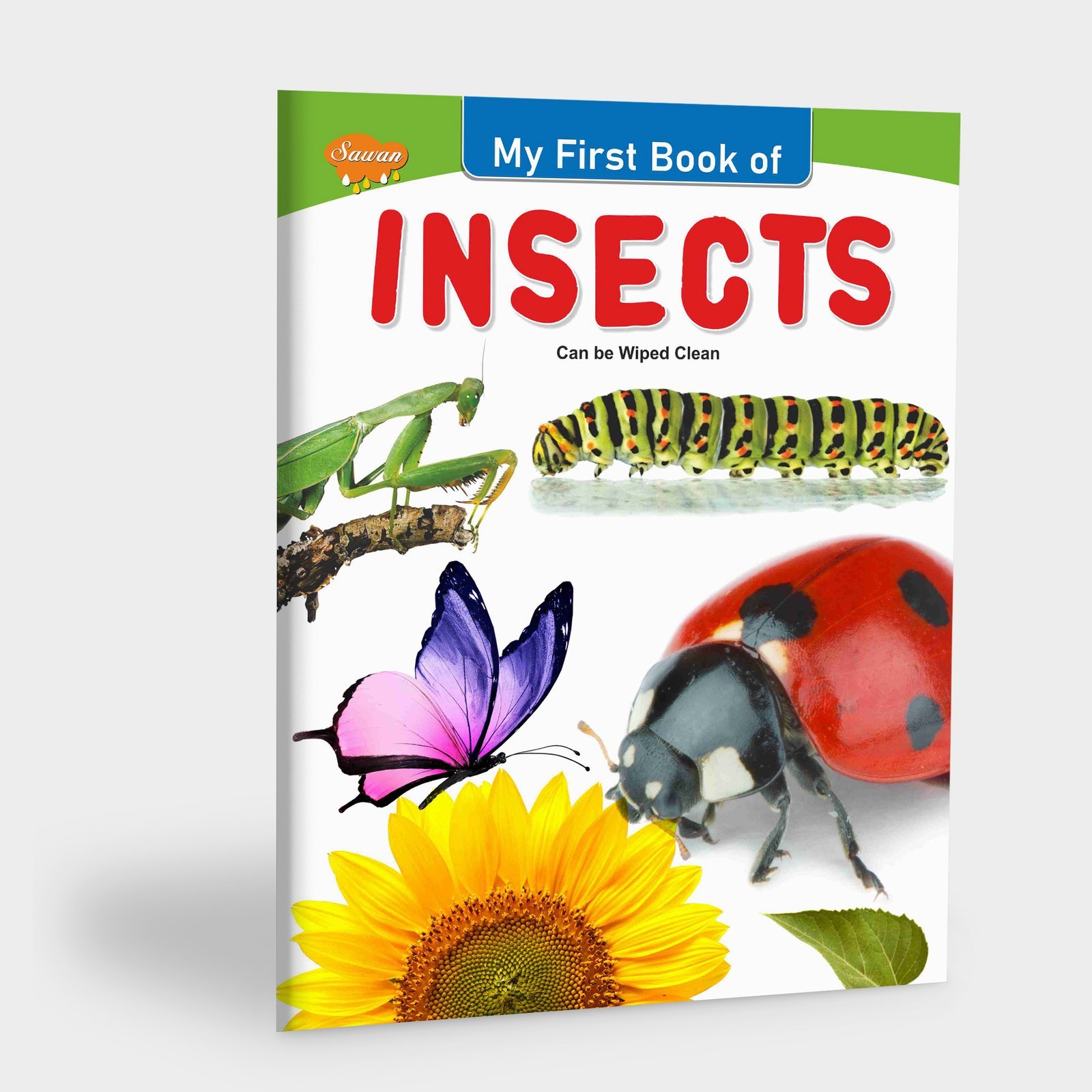 My First Book of Insects | My First Book (Can be Wiped Clean)