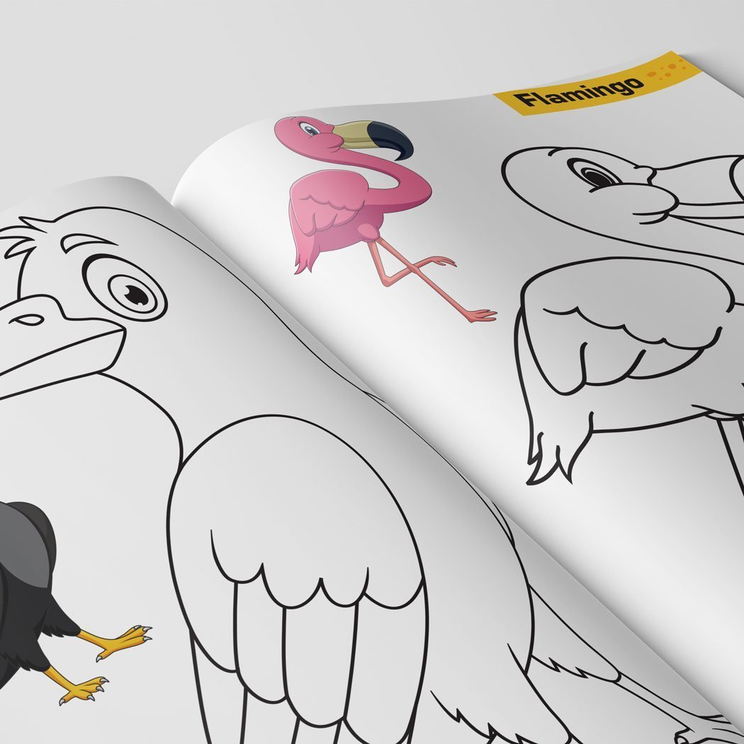 Birds Colouring Book | Colouring Books For Children | Kids Colouring Book - Image 10