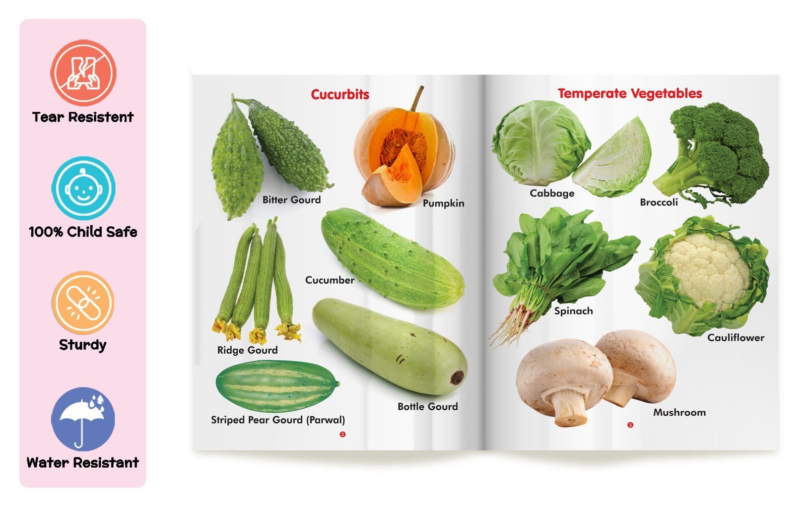 My First Book of Vegetables | My First Book (Can be Wiped Clean) - Image 3