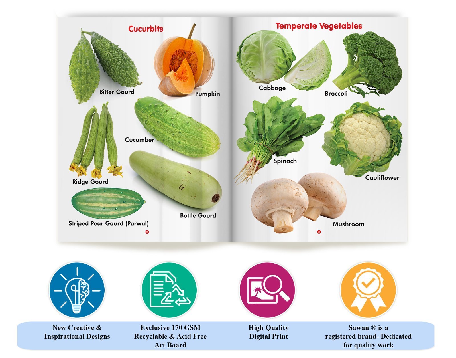 My First Book of Vegetables | My First Book (Can be Wiped Clean) - Image 7