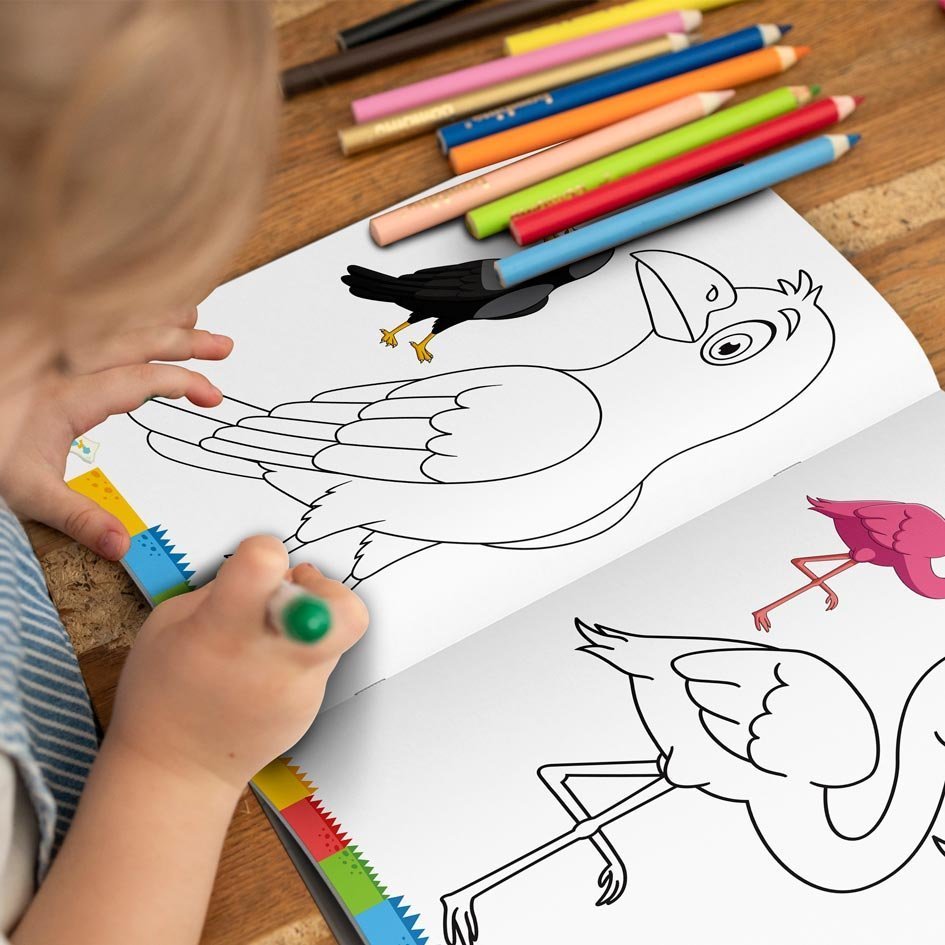 Birds Colouring Book | Colouring Books For Children | Kids Colouring Book - Image 3